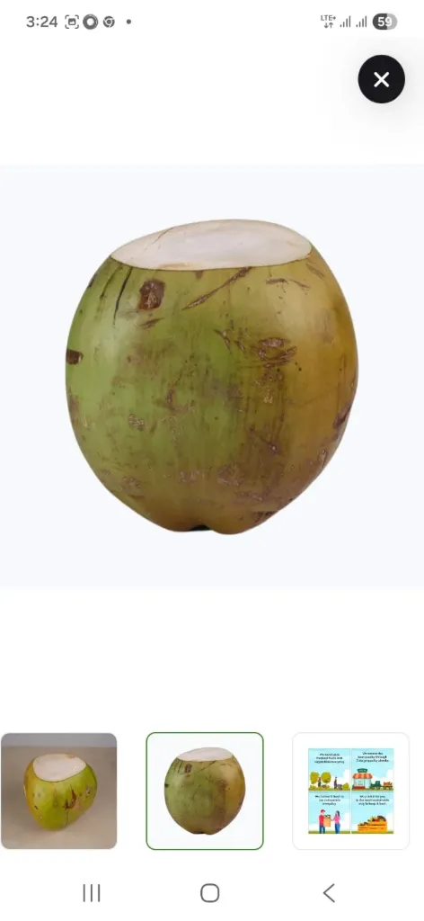 Coconut