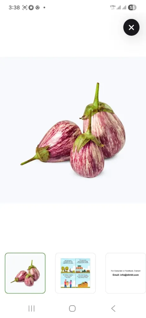 Brinjal(purple)